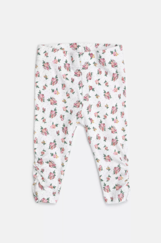 StockLOCAL Coral